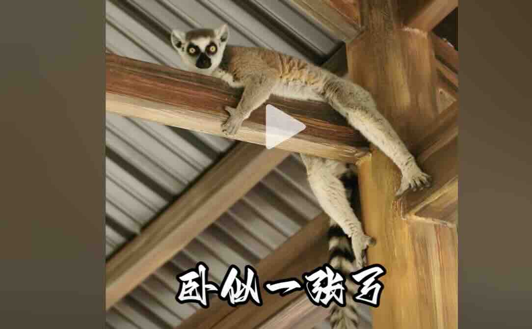 素材创意混剪