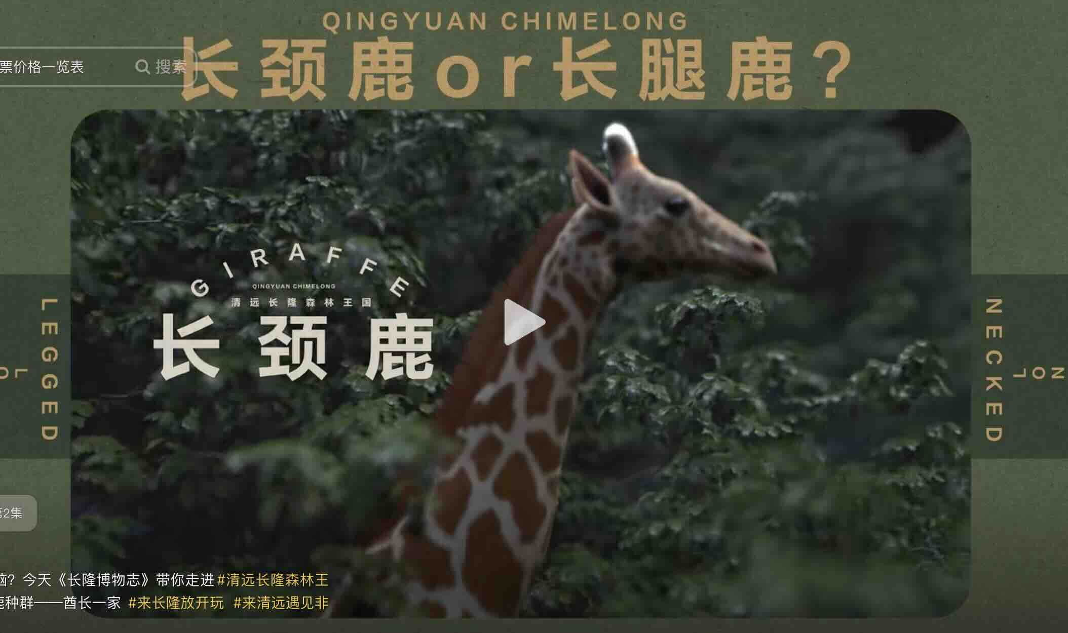 趣味动物科普